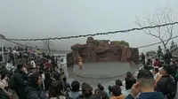 焦作云台山猕猴谷半日游