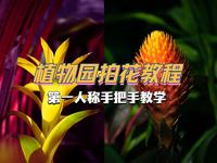 如何在国家植物园拍花？第一人称手把手教学
