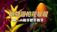 如何在国家植物园拍花？第一人称手把手教学