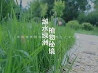 潍坊植物园