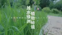 潍坊植物园