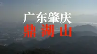 【4K航拍】广东肇庆“鼎湖山”，岭南四大名山之一