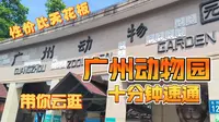 带你逛广州动物园！20块票价能看到哪些动物？十分钟速通性价比天花板的动物园
