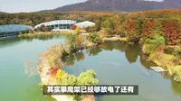 辰山植物园游玩攻略