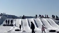 欣赏太原稻田公园雪国乐园美丽景色