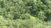 一个比蹦极更可怕的极限运动。 @本溪大峡谷景区 #网红打卡 #新西兰秋千 #中国冒险公园本溪大峡谷