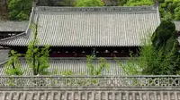用之前拍的素材整理了一期当阳市玉泉山风景区的简介，学习中。。。#旅行推荐官 #旅游景点 #玉泉山风景名胜区 #玉泉寺