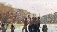 冬日顶流！西双版纳热带花卉园棕榈沙滩消费区视角