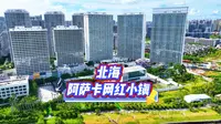 北海阿萨卡网红小镇，一个时代的发展趋势，真正见证了流量的强大#我要上热门 #北海房产