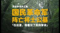 灵谷寺漫步｜上篇：国民革命军阵亡将士公墓，这里埋葬着哪些民族英雄，有哪些可歌可泣的历史，让我们行走其间，缅怀先烈！