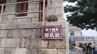 华山北峰顶