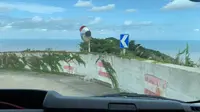 朱家尖 大青山景区 青山峰巴士下山