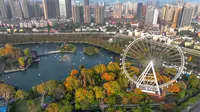 合肥逍遥津航拍