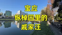宝应纵棹园里的戚家汪，被淡忘的故事和古迹