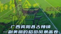 广西宾阳县古辣镇，稻田艺术乡村旅游，你可认识画卷中的这位圣贤