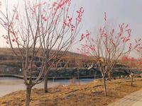 观光东寺渔村