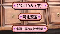 2024.10.8（下）河北安国《安国中医药文化博物馆》安国旧称祁州