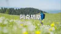 伊犁小众草原阿克塔斯，人少景美