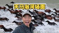 昭苏天马浴河壮阔，知青馆追忆贺娇龙 “若为热爱，所向披靡”