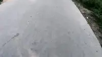 海南东郊椰林骑行，结尾有惊喜