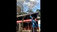 耗时六个小时探访道教名山—大理巍宝山