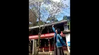 耗时六个小时探访道教名山—大理巍宝山