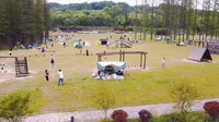 南京平山森林公园半日游，风景简直了