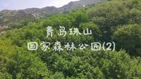 国家森林公园中的青岛珠山（2）