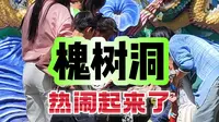 5月3日槐树洞