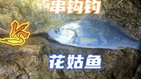 珠海淇澳岛钓点钓鱼