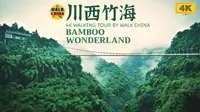 绿色幽谷·川西竹海｜4K超清游览全记录｜云游中国，四川邛崃