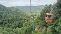 2023.7.1 夜爬驼梁后的第一波缆车 宁静山林，清晨鸟鸣