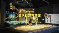 重庆周末游宝藏博物馆重庆自然博物馆适合亲子