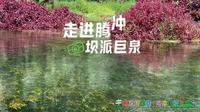 走进腾冲坝派巨泉