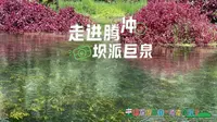 走进腾冲坝派巨泉