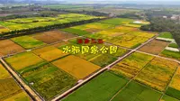 250428三亚水稻国家公园4K