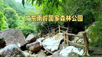 广东南岭国家森林公园