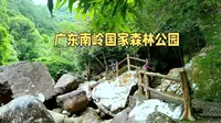 广东南岭国家森林公园