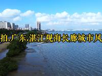 航拍.广东.湛江观海长廊城市风光