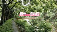 福州|植物园·国家森林公园，城市的天然氧吧