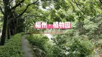 福州|植物园·国家森林公园，城市的天然氧吧