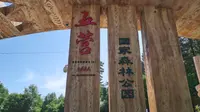 【vlog】跟我一起去伊春吧｜五营国家森林公园