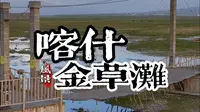 漫步金草滩，聆听塔吉克族与自然的千年对话