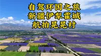 6.12解忧公主农场晃晃村实拍带你俯瞰1.2万亩薰衣草花海