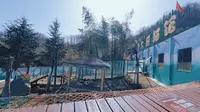 20260211栾川竹海野生动物园
