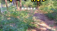 济宁嘉祥青山风景区-爬山是为了发现属于自己的风景。