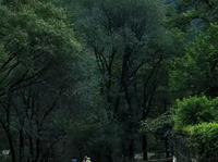 抬头已是秋，方觉岁月太匆匆….# 泰山.# 长寿桥黑龙潭