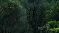 抬头已是秋，方觉岁月太匆匆….# 泰山.# 长寿桥黑龙潭