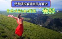 伊犁喀拉峻阔克苏大峡谷，与伊犁一般高山草甸风格迥异，集山川河流，峡谷草原于一体，险峻的大峡谷，雄奇的自然景观，令人浮想联翩的草原曲线。脚废了，但值得！