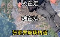 人在走魂在抖张家界天门山玻璃栈道#旅行#旅游#旅游攻略#旅行推荐官旅行大玩家